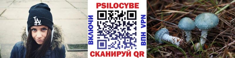 Купить закладки  Медногорск  Псилоцибиновые грибы мицелий 